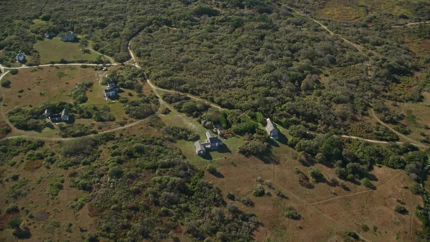 Roads connect rural houses on forested peninsula