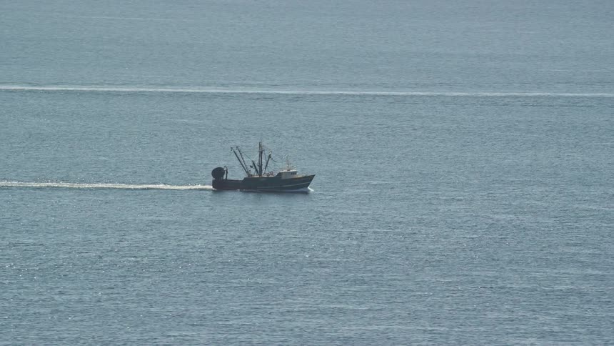 A boat driving in the sea