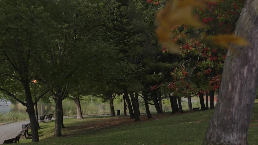 Woman running in a forest by the edge of a lake