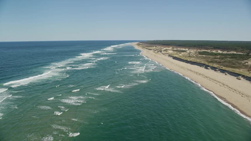 Waves roll onto long sandy beach near forest