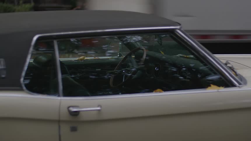 Closeup of a car on its exterior in the streets shoulder