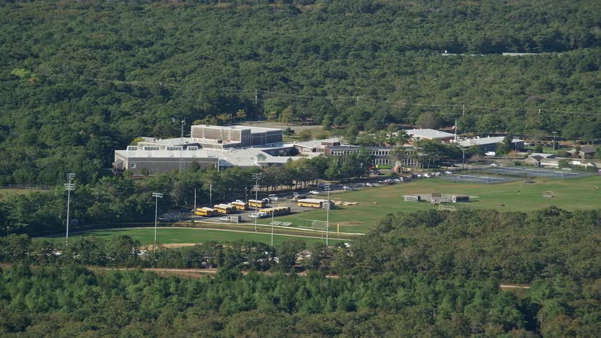Isolated buildings surrounded by trees at midday