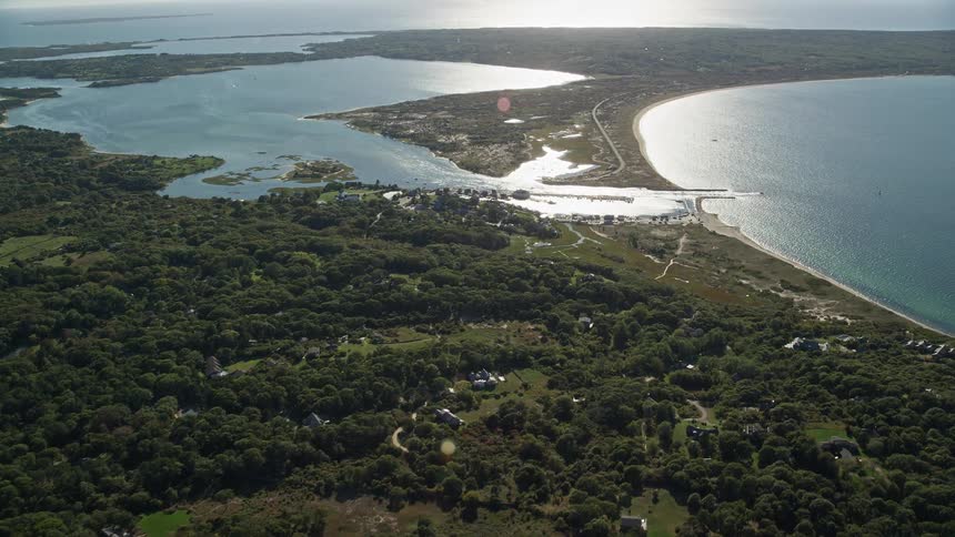 The island is covered with trees