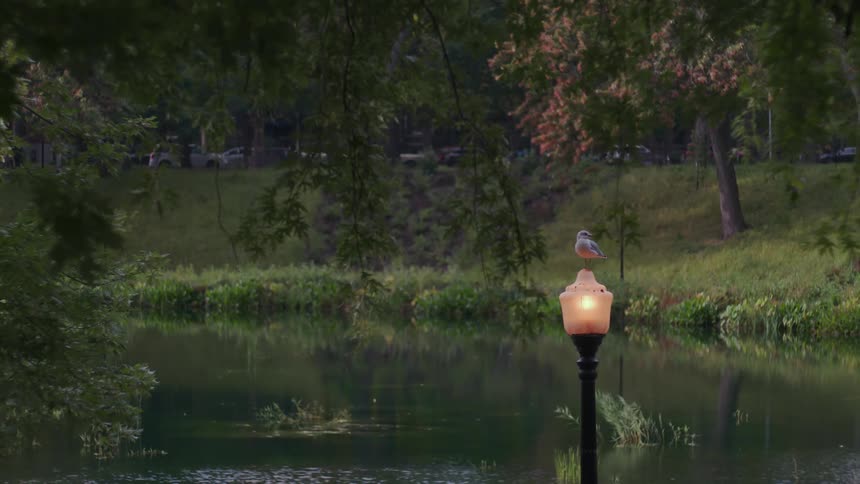 A bird on top of a lit lamp in front of a still lake