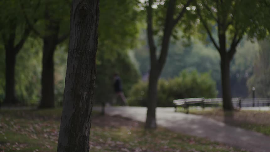 A man walking by the empty park during summer