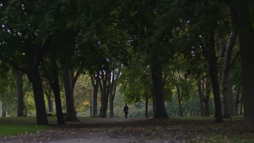 People walking and jogging on a park