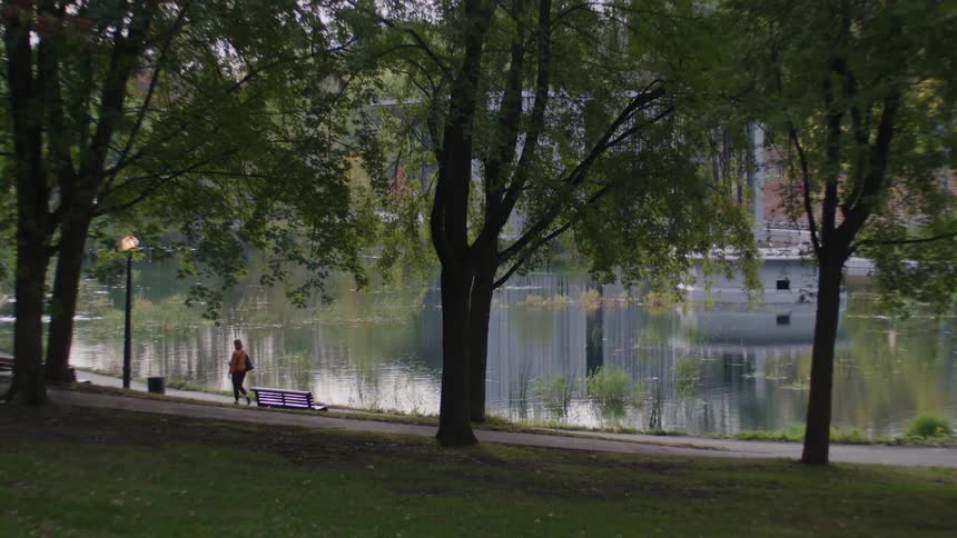 View of a forest with a central lake and a person walking