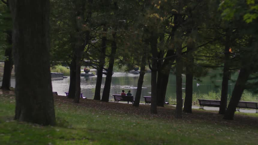 Panorama of a forest with two people sitting by a lake facing each other