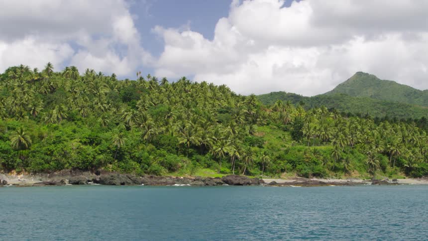 Bushes and trees lie beside a body of water