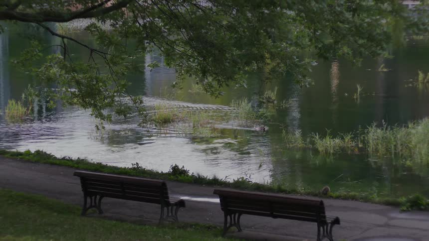 Two side by side benches positioned perfectly for a serene view of a pond in a public park