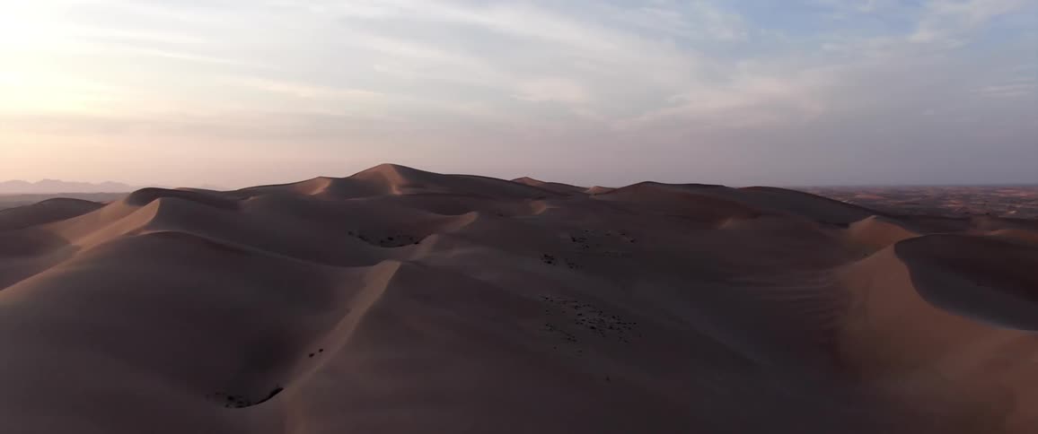 Sunlight shines on the desert dunes with scattered plants and vegetation