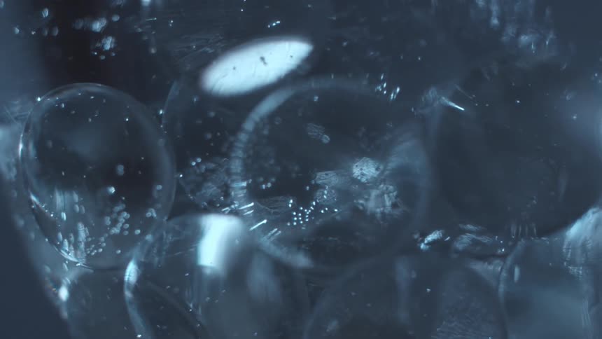 A group of bubbles spin