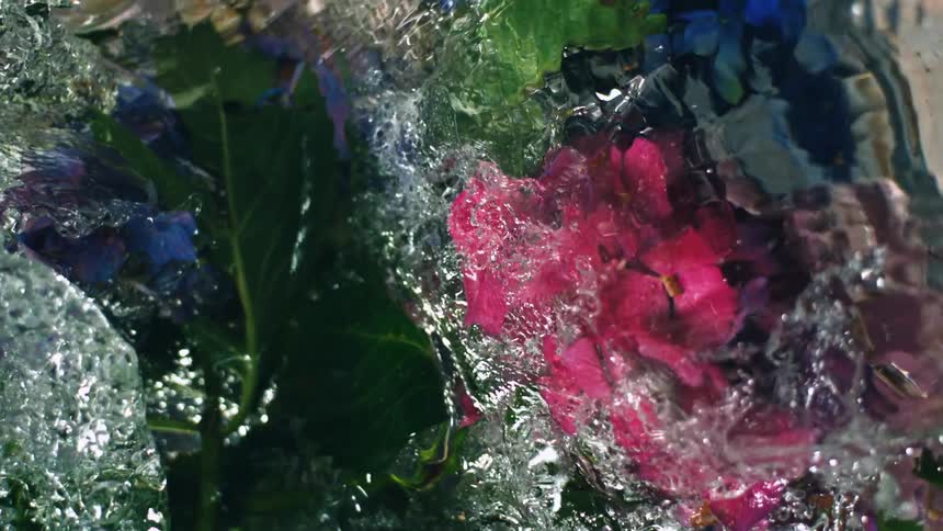 Several plants and flowers are inside a transparent liquid that moves intensely
