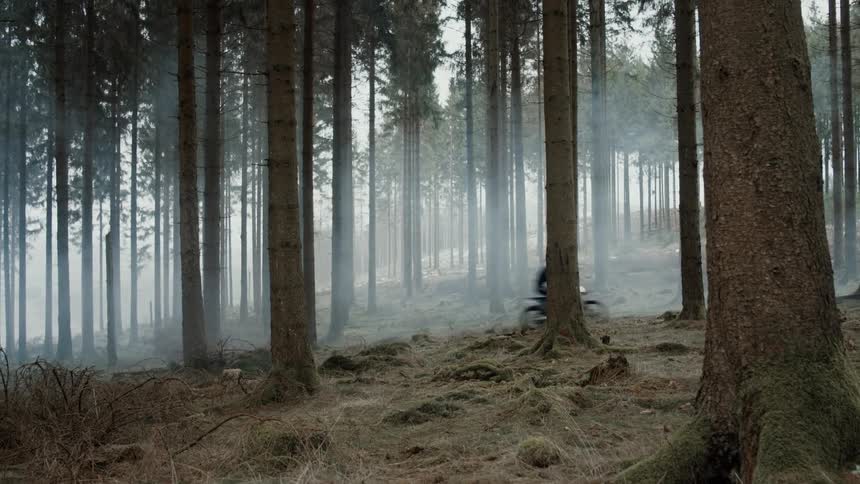 A person driving a mountain bike in the woods with trees everywhere