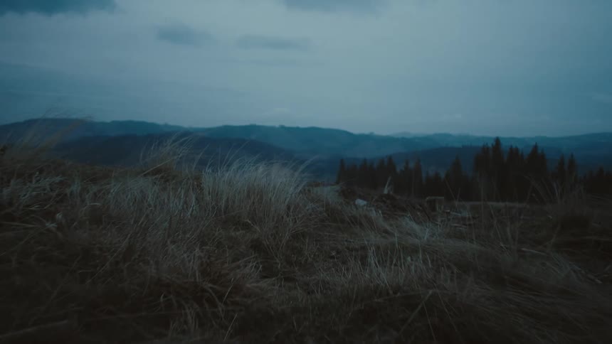A grassy field leads towards both mountains and a forest