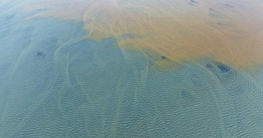 Aerial view of rivers with blue and yellow color