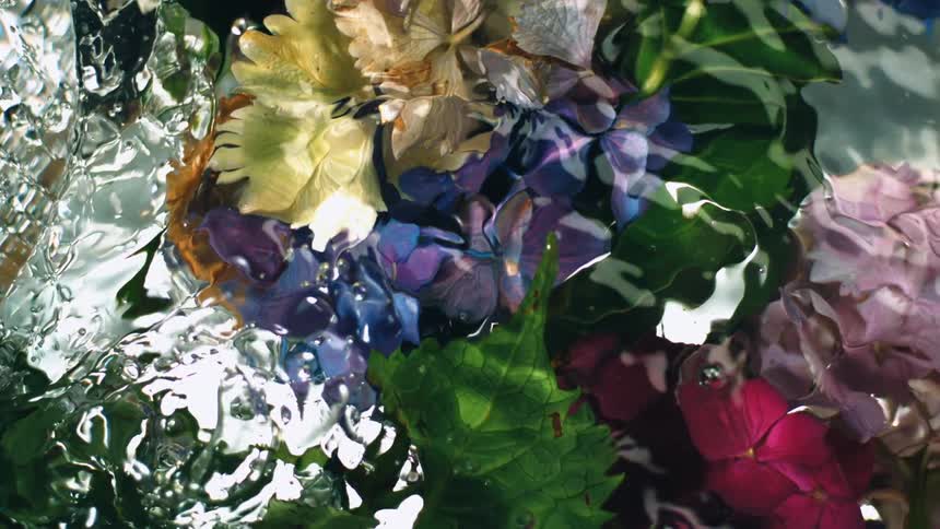 Fluid art with plants submerged in water