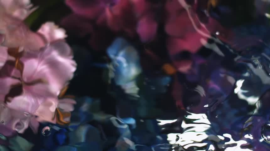 The reflection of flowers ripples on the water