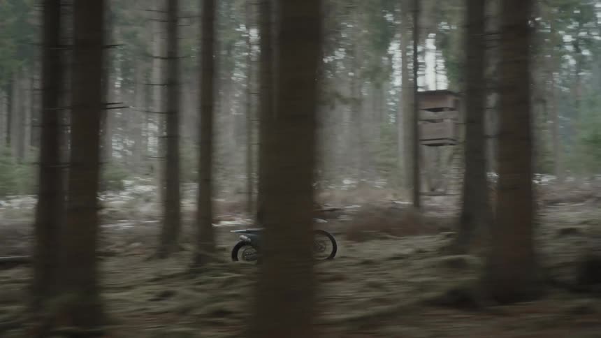 A motorcycle is traveling fast through a forest