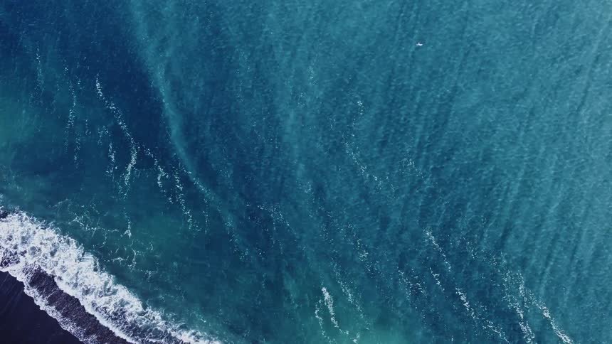 A coastal region where sea waves break on the shore