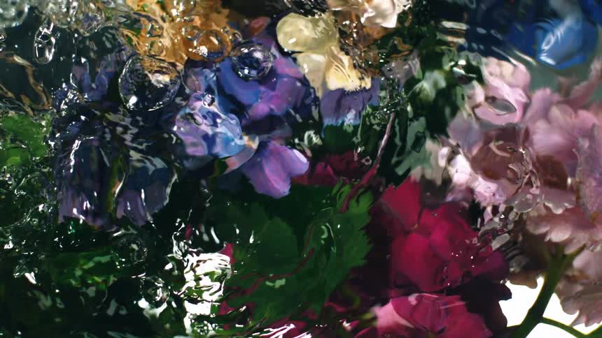 Several colorful flowers under a liquid that is starting to move quickly