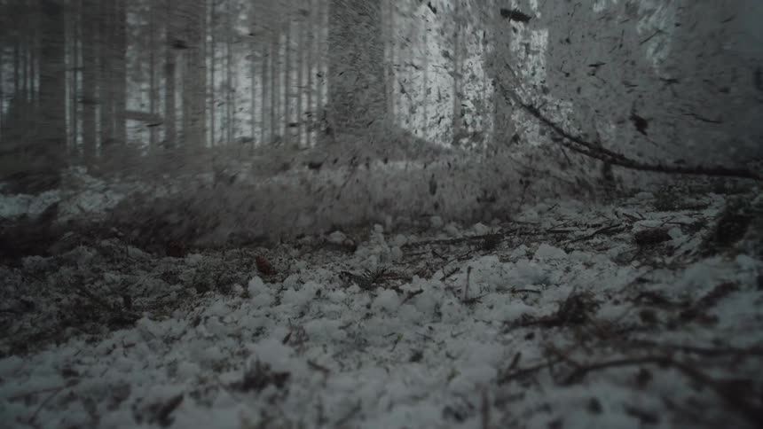 Snow falls on the ground in the woods as a motorcycle passes by and slides as dirt flies into the air