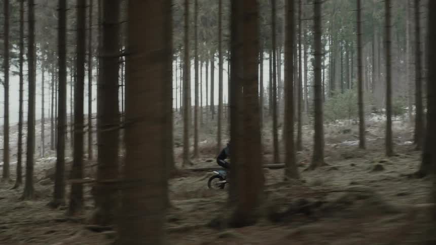 A motorcycle is traveling fast through trees in a forest