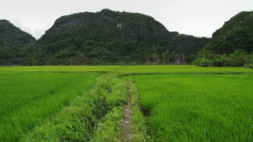 Trail running through lush green grass before tree covered mountains