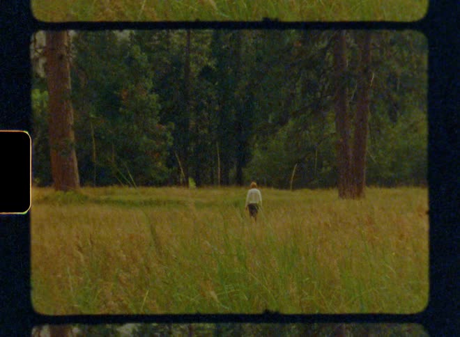 Woman walks to the forest in the mountains