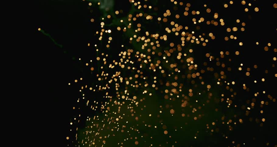 Fireworks shining in the night sky