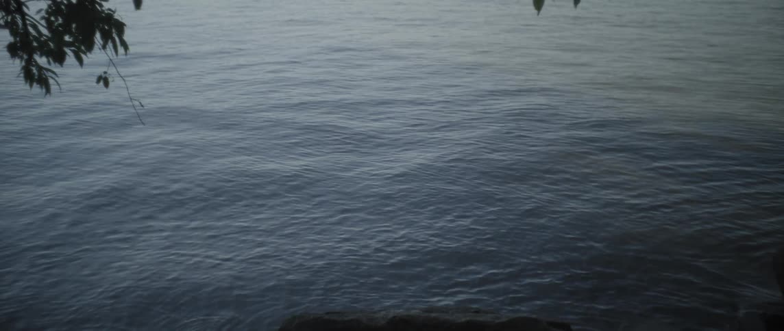 Body of water with rocks and trees on the shore