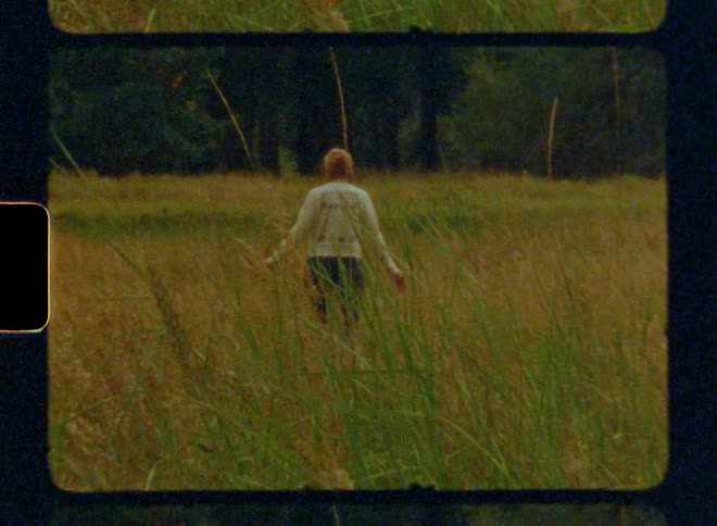A woman walking in the meadow surrounded by forest