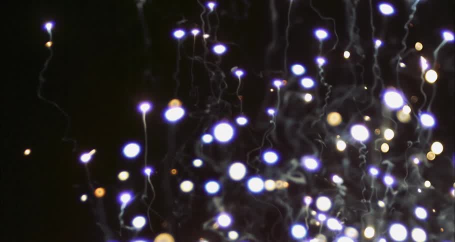 A dazzling fireworks display illuminates the night sky with bright and flashy bursts