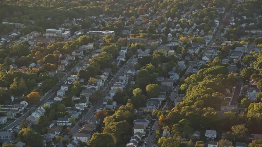A suburban town with houses surrounded by trees