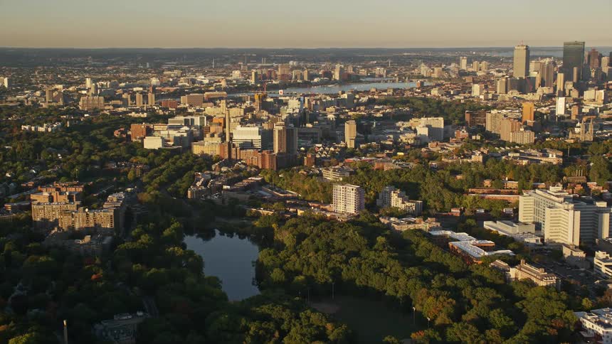Aerial panorama of a metropolitan city by the lakeside with green areas