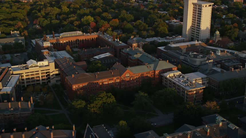 An aerial view of a small group of buildings surrounded by trees