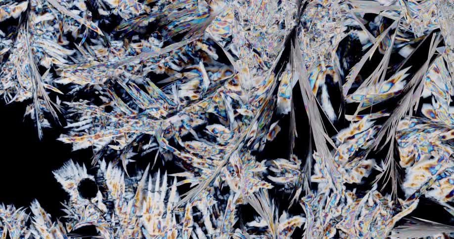 Crystalline pattern grows and expands in bright colors contrasting with black background