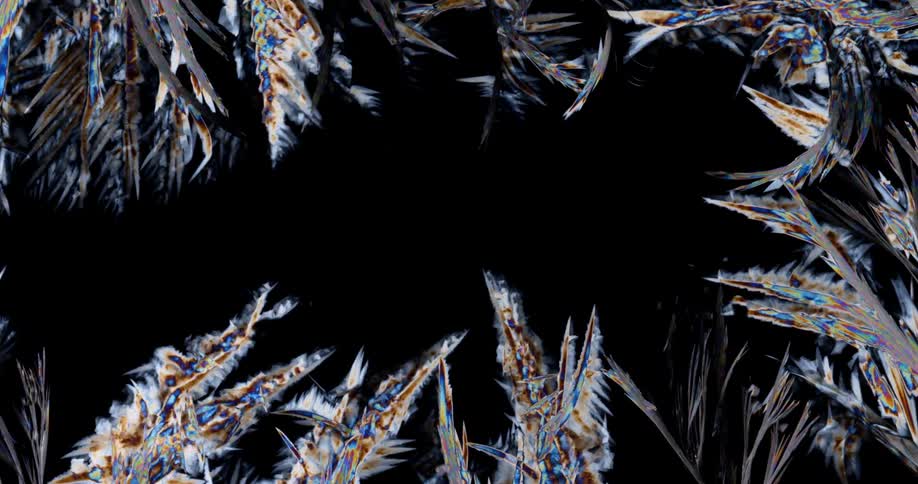 Crystalline structure forms feathery shapes while growing across black background