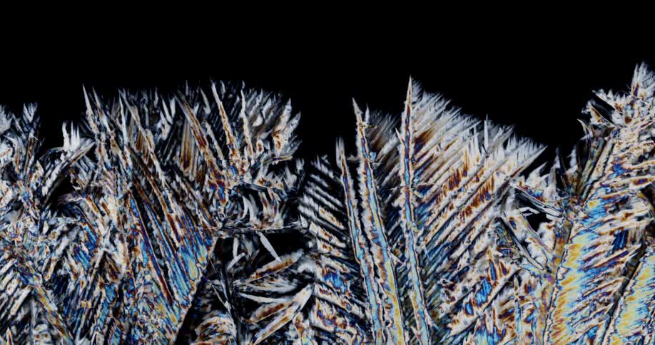 Crystalized lauric acid under polarized light
