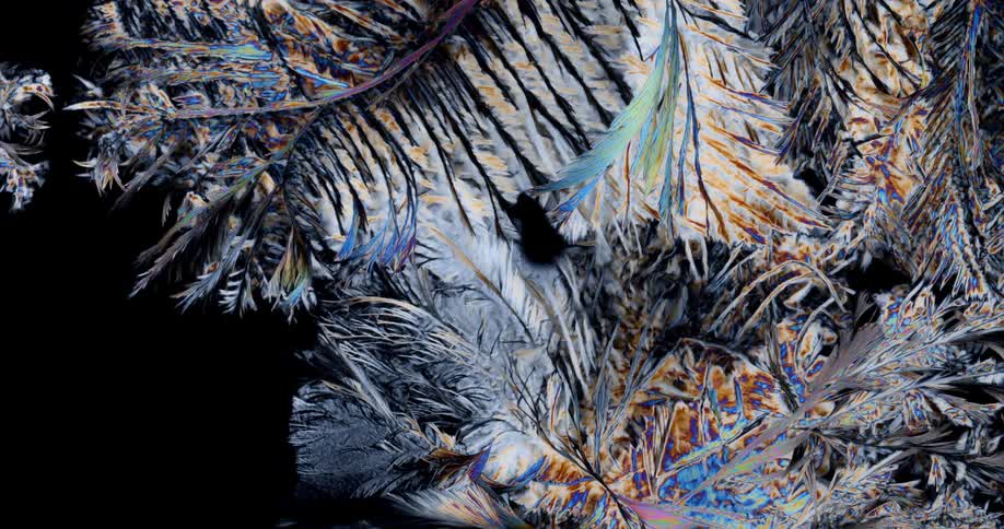 Crystalline structure forms feathery shapes while growing across black background