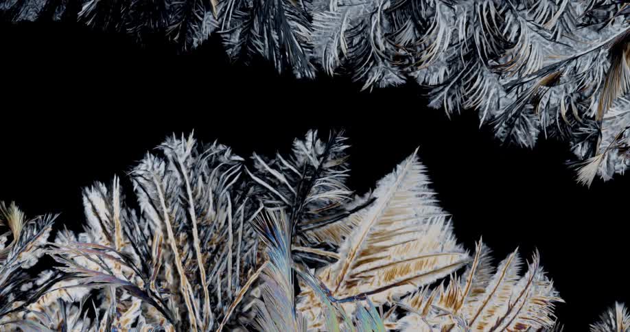 Crystalline pattern grows and expands in bright colors contrasting with black background