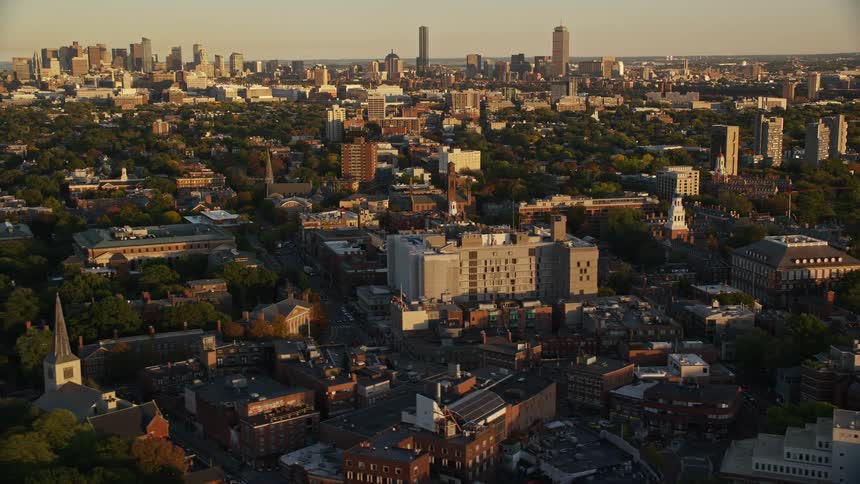 An aerial view of a city with several trees in the middle of the neighborhoods