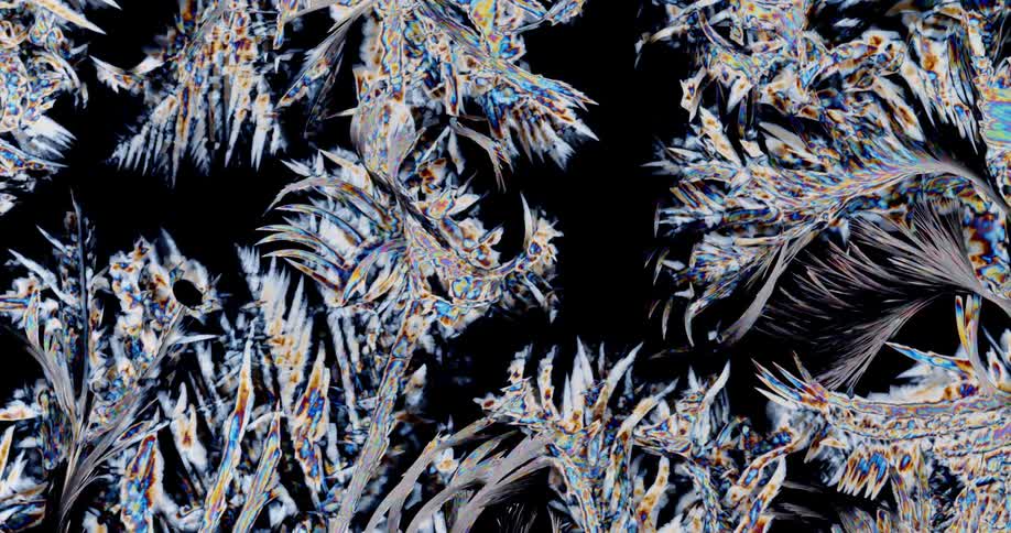 Crystalline structure forms feathery shapes while growing across black background