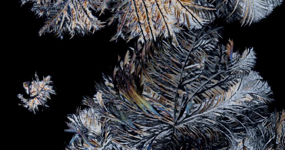 Crystalline pattern grows and expands in bright colors contrasting with black background