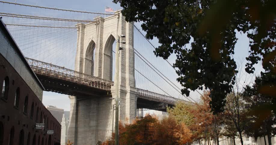A large bridge is in the city