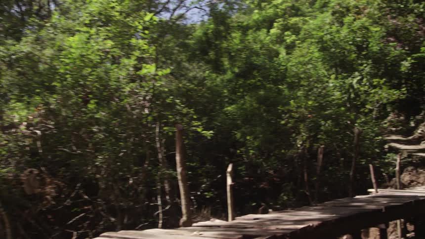 A wooden footbridge leading to a path in a forest area