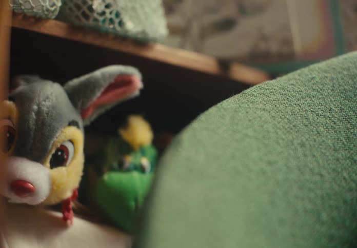 Stuffed toys occupy wooden bookcase