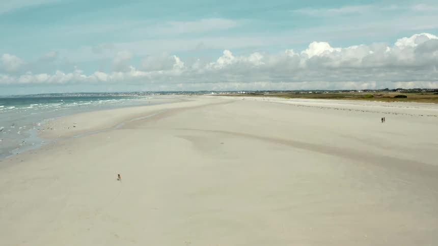 A beach with lots of sand and a dog running and birds flying