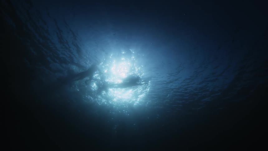 Two people are swimming in the water