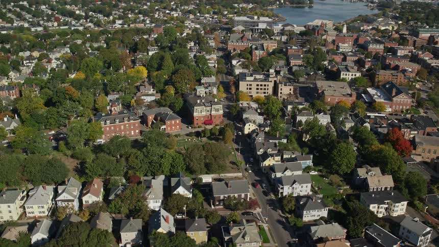 Aerial of residential houses and trees in a metropolis at midday